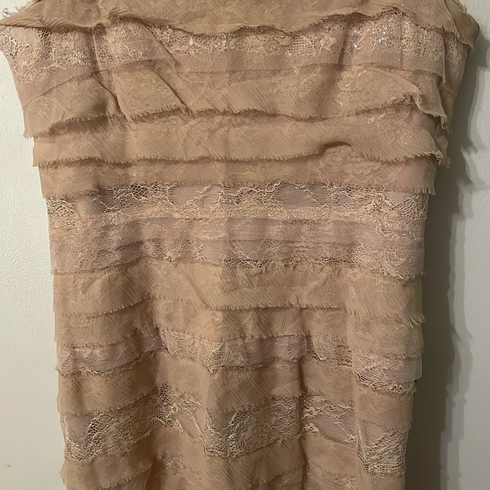 NWT BCBGMaxazria Medium Strapless Dress‎ Champagne - Picture 4 of 15